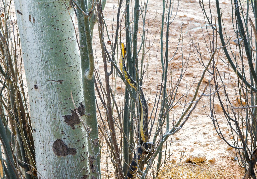 506619781_7b18f93d-15ae-41ed-a176-95648066e48c.jpg 506619781_7b18f93d-15ae-41ed-a176-95648066e48c.jpg