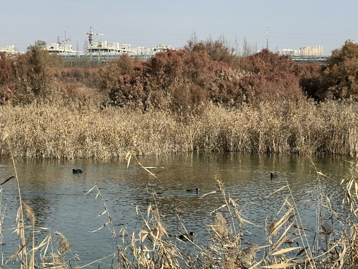 506707568_69a85afd-1114-4a4d-8cf8-73820fa06d39~1.jpg 506707568_69a85afd-1114-4a4d-8cf8-73820fa06d39~1.jpg